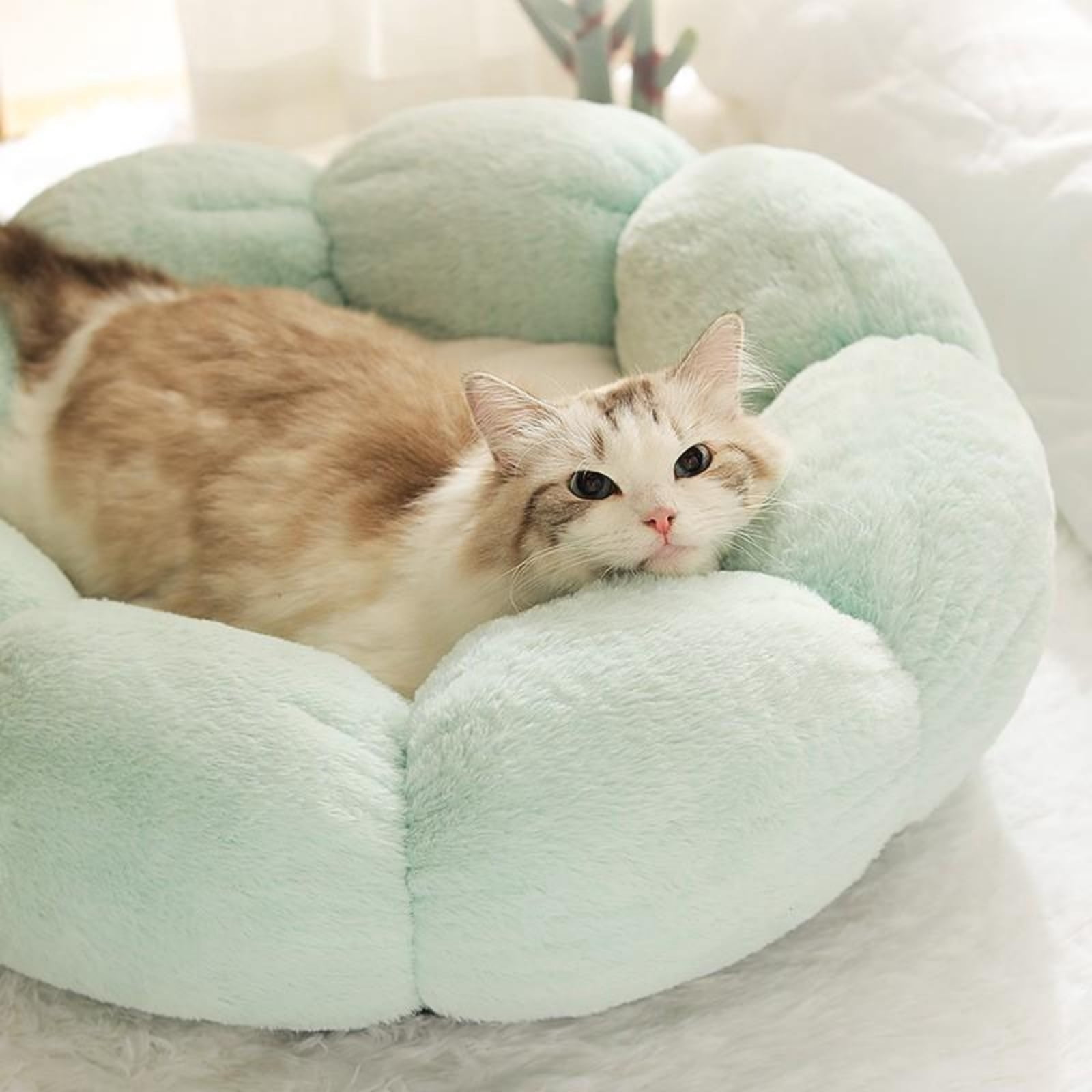 Happy & Polly Cat Bed, Small Dog Bed, Flower Shaped Bolster for Small Breeds, 15.7" Green