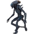 thumbnail image 2 of NECA Arachnoid Alien Figurine Articulée, 2 of 2