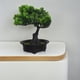 thumbnail image 4 of Árboles bonsái artificiales de estilo enebro japonés para decoración del hogar, pequeños árboles artificiales en maceta para decoración de interiores., 4 of 7