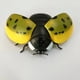 thumbnail image 2 of Juguete de mariquita para niños, coche con Control remoto, vehículo eléctrico, juguetes de broma de insectos falsos para Navidad y Halloween, 2 of 5
