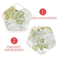 thumbnail image 3 of QUMIIRITY 24Ud Colgantes Transparentes Para Decorar Interior Y Crear Ambiente, 3 of 6