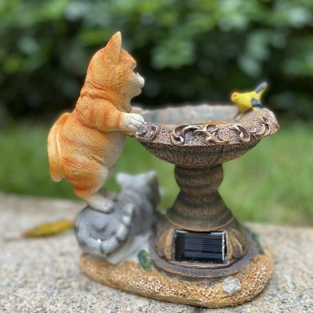 Solar powered cheap cat fountain