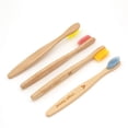 thumbnail image 1 of Cepillo de dientes Virgin Forest Kids de bambú biodegradable, juego de 4, 1 of 7