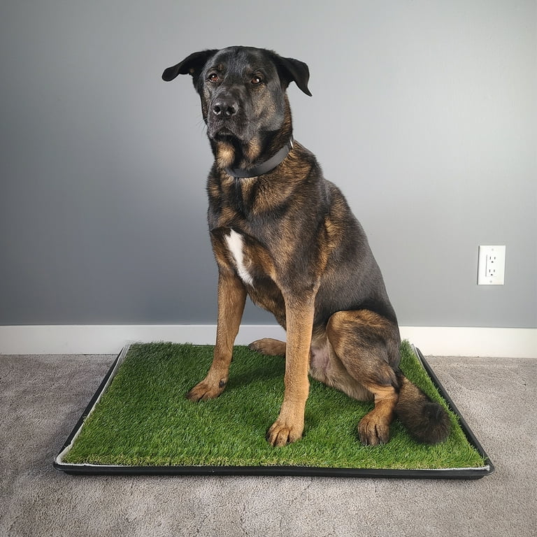 Portable potty outlet grass for dogs