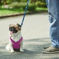 thumbnail image 2 of KMWGRE Cozy Solid Knit Pullover Sweater for Small Dogs Autumn Winter Soft Pet Apparel Hot Pink S, 2 of 7