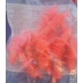 thumbnail image 2 of (12) Red Plastic Free Flow Liquor Pourers For Bars/Taverns, 2 of 2