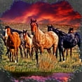 thumbnail image 3 of CafePress - Sunset Horses Women's Long Sleeve Dark T Shirt - Women's Long Sleeve Graphic Tee Casual Fit, 3 of 4