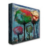 Trademark Fine Art "Niebla de Colores" Canvas Art by Boyer