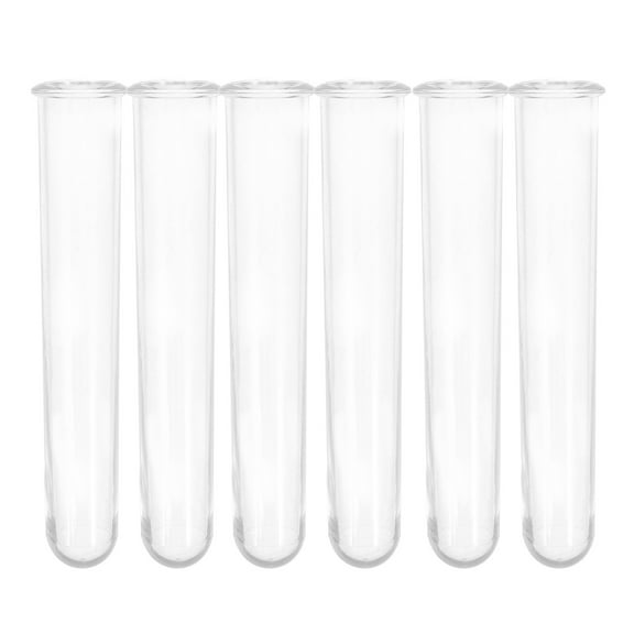Set of 6 Clear Test Tubes for Plant Propagation Station, Hydroponic Flower Holders, Small Transparent Vases for Desk Decor 12cm