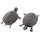 thumbnail image 3 of Realista 3D Artificial Fake Turtle Fish Tank Decoración Creativa y Útil JAMW Sencillez, 3 of 4