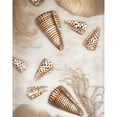 thumbnail image 3 of Blaustein, Alan 12x14 Black Modern Framed Museum Art Print Titled - Nautical Illuminations No.4, 3 of 5