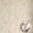 Colourful2, variant on Minimalist Aesthetic Boho Green Line Leaf Wallpaper Peel and Stick Waterproof Contact Paper, Removable Self-Adhesive Wall Decor for Bedroom Living Room Cabinet Dorm Room Rental Property 17.7 * 118 in