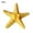 Yellow, variant on Soumake 5Pcs Resin Starfish Ornament Beach Ocean Sea Star Home Wall Party Decoration