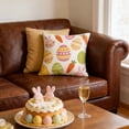 thumbnail image 7 of DefiDgd 18x18inch Happy Easter Egg Carrot Painted Decorative Throw Pillow Covers,Spring Farmhouse Porch Sofa Bed Outdoor Home Decor(Double Side), 7 of 7