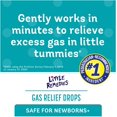 Little Remedies Gas Relief Drops, Natural Berry Flavor, Safe For