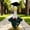GN, variant on Amzcrzy Graduation Gowns By Dage Apparel Graduation Gown and Cap Costumes Set for 23In Giantes Gooses Perfects Graduation Gooses Outfit Home Decor Home Decor Room Decor