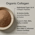 thumbnail image 4 of Collagen Peptides Organic Chocolate (30 servings), 4 of 8