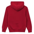 thumbnail image 3 of Toddler Outerstuff  Scarlet San Francisco 49ers Back to Basics Hoodie, 3 of 3