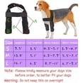 thumbnail image 3 of Soporte para perro para codo y hombro canino, protector de codo para perro, rodillera para perro, displasia, osteoartritis, callos de codo, llagas por presión (pequeño), 3 of 5
