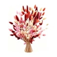 thumbnail image 3 of Cheapark 60 Pieces Bunny Tail Preserved Flowers Dried Flower Stems Decorative Florals for Vase Arrangement Home Decor Gift, 3 of 7