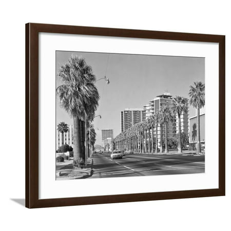 1960s Rows of Palm Trees Central Avenue Phoenix AZ Framed Print Wall (Best Fruit Trees For Phoenix Az)