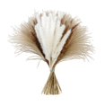 thumbnail image 1 of yuksok Natural Pampas Grass Bouquet Reed for Desk Photographing Flower Arrangements C, 1 of 9