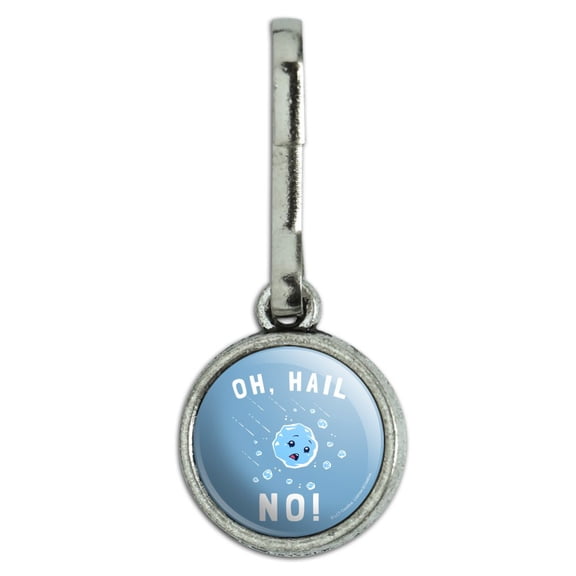 Oh Hail No Hell Funny Humor Antiqued Charm Clothes Purse Suitcase Backpack Zipper Pull Aid