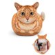 thumbnail image 1 of Bolsa de maquillaje GKIOYRO Organizadora de viaje con diseño de gato naranja con cordón, 1 of 7