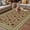 Light Brown, variant on Vintage Red Roses Outdoor Rug for Patio/Deck/Porch, Non-Slip Large Area Rug 3 x 5 Ft, Green Abstract Art Floral Ethnic Indoor Outdoor Rugs Washable Area Rugs, Reversible Camping Rug Carpet Runner