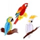 thumbnail image 1 of 6 piezas de pájaros tropicales, panal de abeja, loro hawaiano, verano, fiesta en la playa, hogar, aula, decoraciones colgantes, loro, 1 of 1