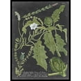 thumbnail image 2 of Vision Studio 25x32 White Modern Wood Framed Museum Art Print Titled - Dramatic Weinmann Greenery II, 2 of 4