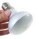 thumbnail image 4 of 2 bombillas de luz ultravioleta para reptiles, lámpara de calefacción para tortugas, lagartijas, anfibios, controlador de temperatura, luz suave (25 W), 4 of 4