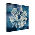 thumbnail image 2 of Trademark Fine Art 'Ocean Bloom I' Canvas Art by Studio Mousseau, 2 of 3