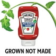 thumbnail image 5 of Heinz Tomato Ketchup with No Sugar Added, 13 oz Bottle, 5 of 20