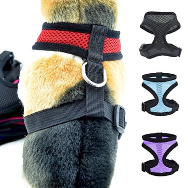 Soft Mesh Small Dog Harness With Leash - Adjustable Safety Vest For Chihuahua, Poodle, Frenchie