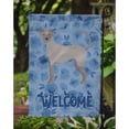 thumbnail image 3 of Carolines Treasures CK5983GF Ecuadorian Hairless Dog Welcome Flag Garden Size Small multicolor, 3 of 3