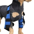 thumbnail image 4 of Abrazadera De La Pierna Delantera Del Perro Mascota, Envoltura De La Articulación De La Del Canino De La Pierna Del Perro Protege Las Heridas Azul - S Colco Soporte de la rodilla del perro, 4 of 8