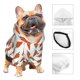 thumbnail image 3 of Balery Carrot Sudadera con Capucha para Perros Pequeños – Ropa para Mascotas, Disfraz para Perros y Gatos, Ideal para Fiestas y Cosplay-XX-Large, 3 of 7