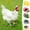 5Pcs Protective Pet Helmet Under $5 a1, variant on Fufafayo Chicken Helmet for Pet Protection, Adjustable Hen Hat Bird Head Cover, Poultry Safety Gear for Small Animals Chicken Bird Duck