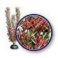 thumbnail image 2 of Weco Products Freshwater Series Foxtail Aquarium Plant Red, 1ea/18 in, 2 of 3