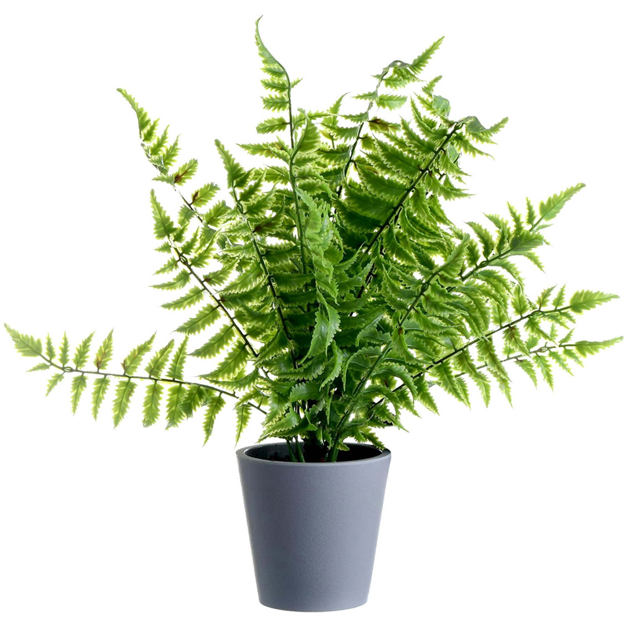 Planta Decorativa Helecho Artificial
