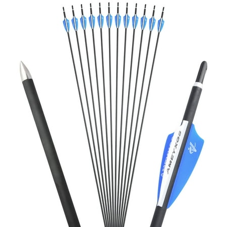 AMEYXGS Archery 31 4.2 mm Target Carbon Arrows for Beginner Archers Spine 1000 12 Pack
