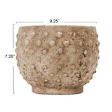 Brocca In Vetro Hobnail Creative Co-Op – Soffiata A Mano, Trasparente – Perfetta Per Decorare La Cucina O La Tavola – Design Unico 17 Cm - 5