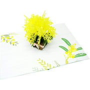 Mimosa Flower Vase - 3D Pop Up Greeting Card For All Occasions - Love, Birthday, Christmas, Goodluck, Congrats, Get