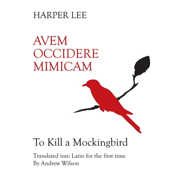 what is hot steam in to kill a mockingbird