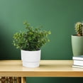 thumbnail image 4 of TABLETREANDS 3Ud Plantas Decorativas Falsas En Maceta Para Oficina Hogar Con De Bonsái Artificial, 4 of 6