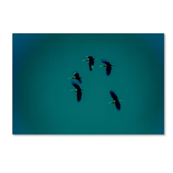 Trademark Fine Art 'Flying Ducks' Canvas Art by Patty Tuggle
