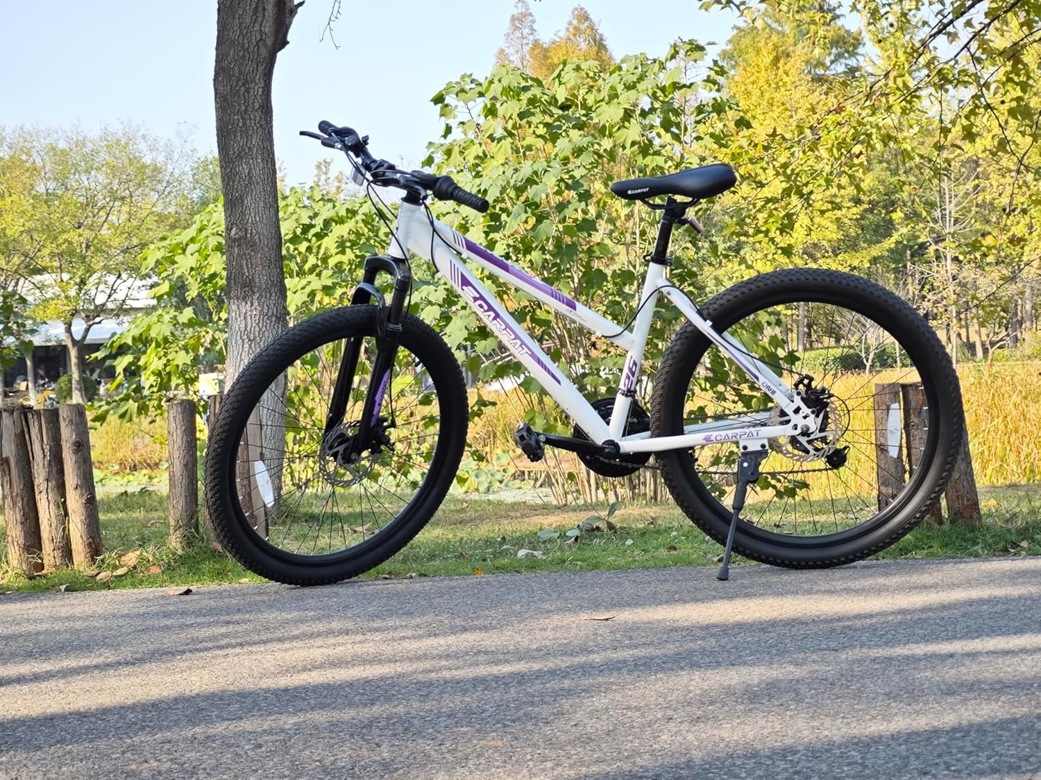 Ambifirner 26 inch Mountain Bike , Mountain Bike   Shimano 21 Speeds with Dual Disc Brakes and Front Suspension