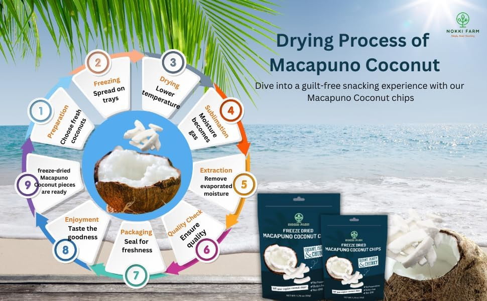 NOKKI FARM Freeze Dried Macapuno Coconut Chips - Healthy & Exotic Tropical Fruit Snacks, Low in Sugar, No Preservatives, Kid-Approved Shelf-Stable, 1.76 Oz, 3 Pack