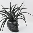 thumbnail image 5 of HomeKingdee Skull Planter Pots, Skeleton Vase, Flowers, Gothic Centerpiece for Table, Punk Home Decor and Accessories, 5 of 7
